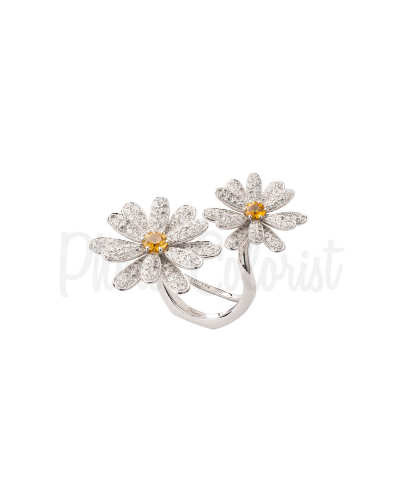 jewelry photo retouching services